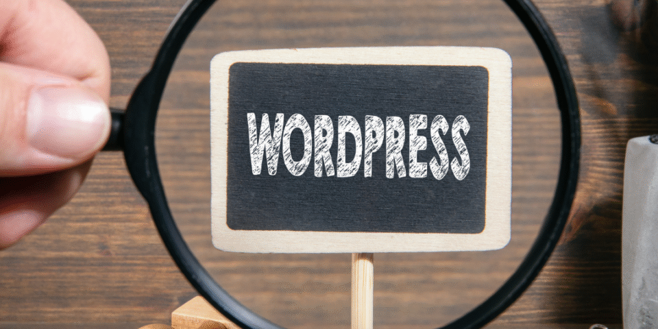wordpress featured image blog post divi size